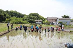 『田植え2』の画像